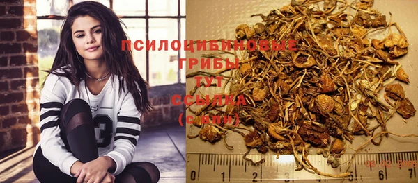 амф Горнозаводск