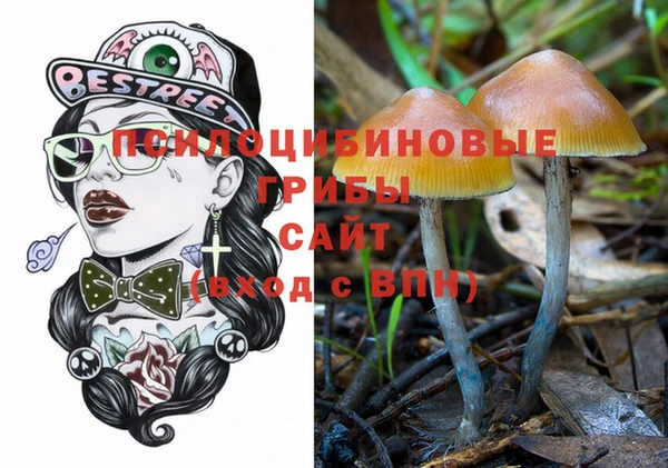 эйфоретик Горно-Алтайск