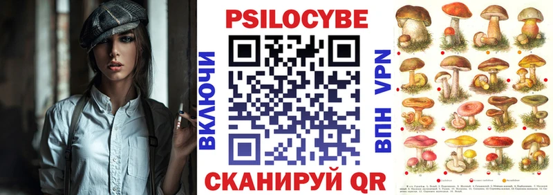 Купить где  Бирюч  Галлюциногенные грибы Psilocybe 